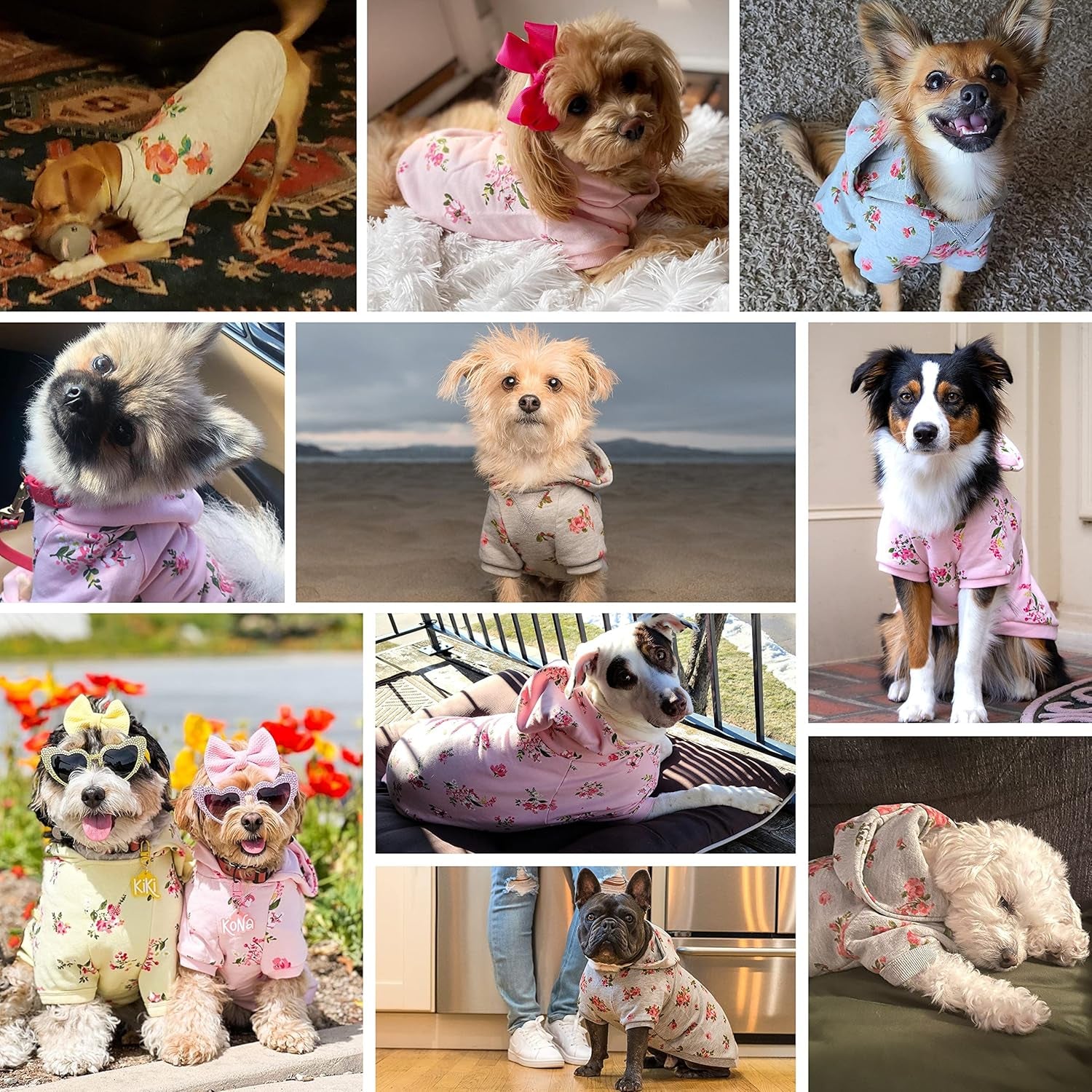 Floral Dog Hoodie, Rose Print Pullover Sweatshirt for Large Dogs, 22" Back Length, Lightweight Spring Outfit in Stylish Grey